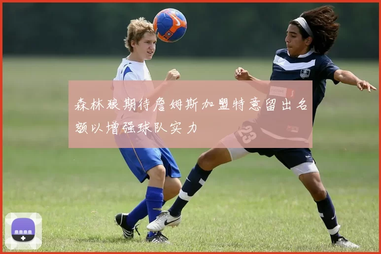 森林狼期待詹姆斯加盟特意留出名额以增强球队实力