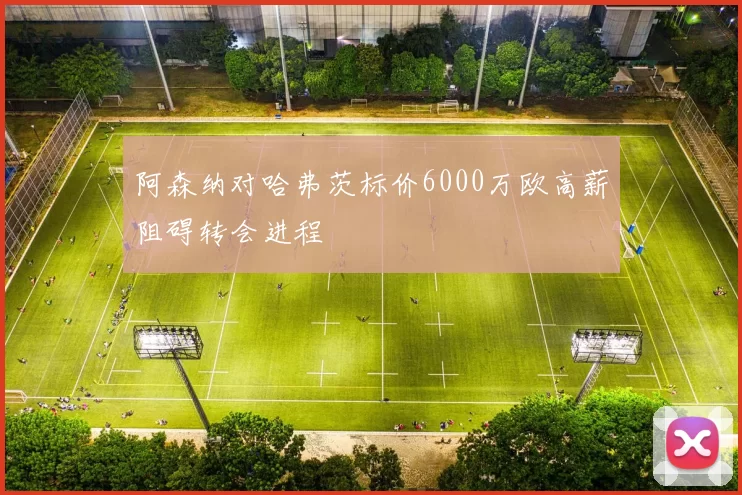 阿森纳对哈弗茨标价6000万欧高薪阻碍转会进程